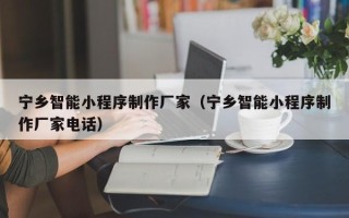 日照宁乡智能小程序制作厂家（宁乡智能小程序制作厂家电话）