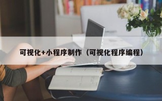 日照可视化+小程序制作（可视化程序编程）